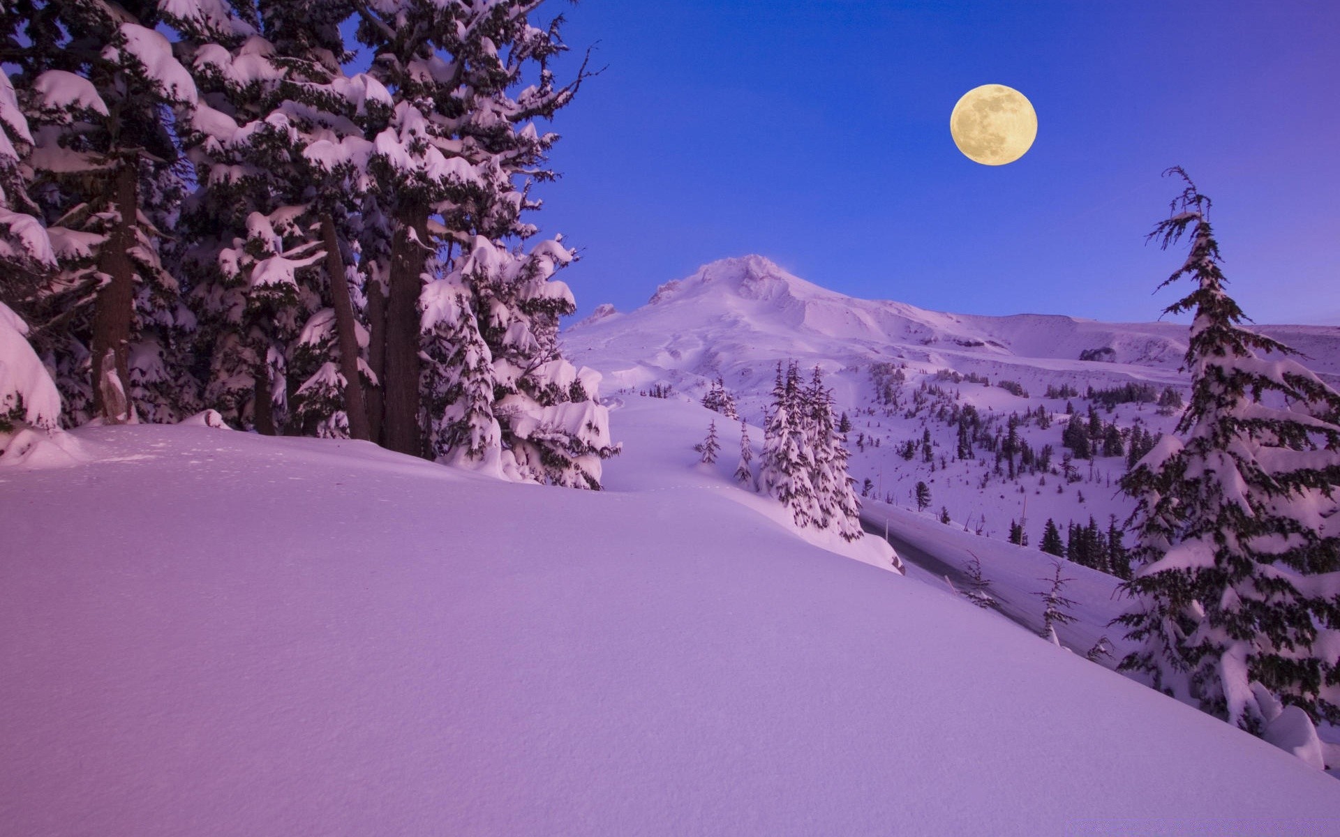 invierno nieve frío montaña escénico árbol madera paisaje escarcha temporada tiempo congelado resort evergreen luz del día colina