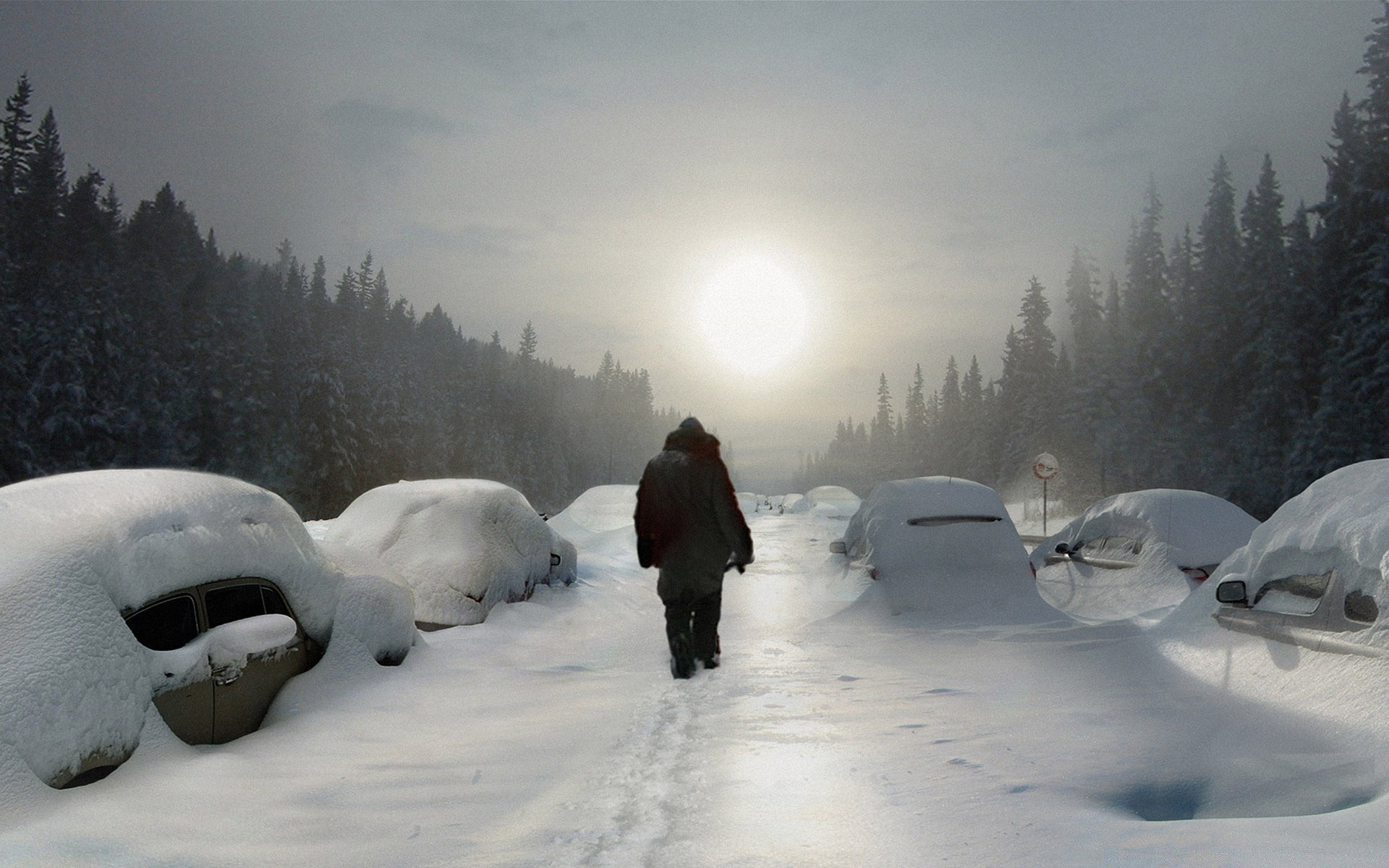 winter snow cold ice frozen frost weather landscape snowdrift snowstorm mountain wood frosty tree