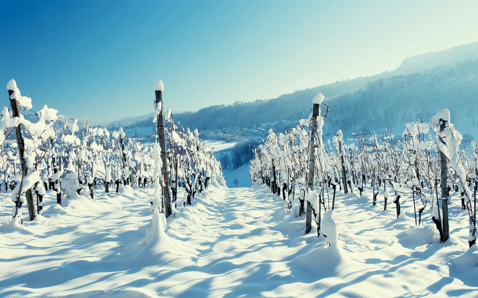 hiver neige froid glace gel montagnes congelé