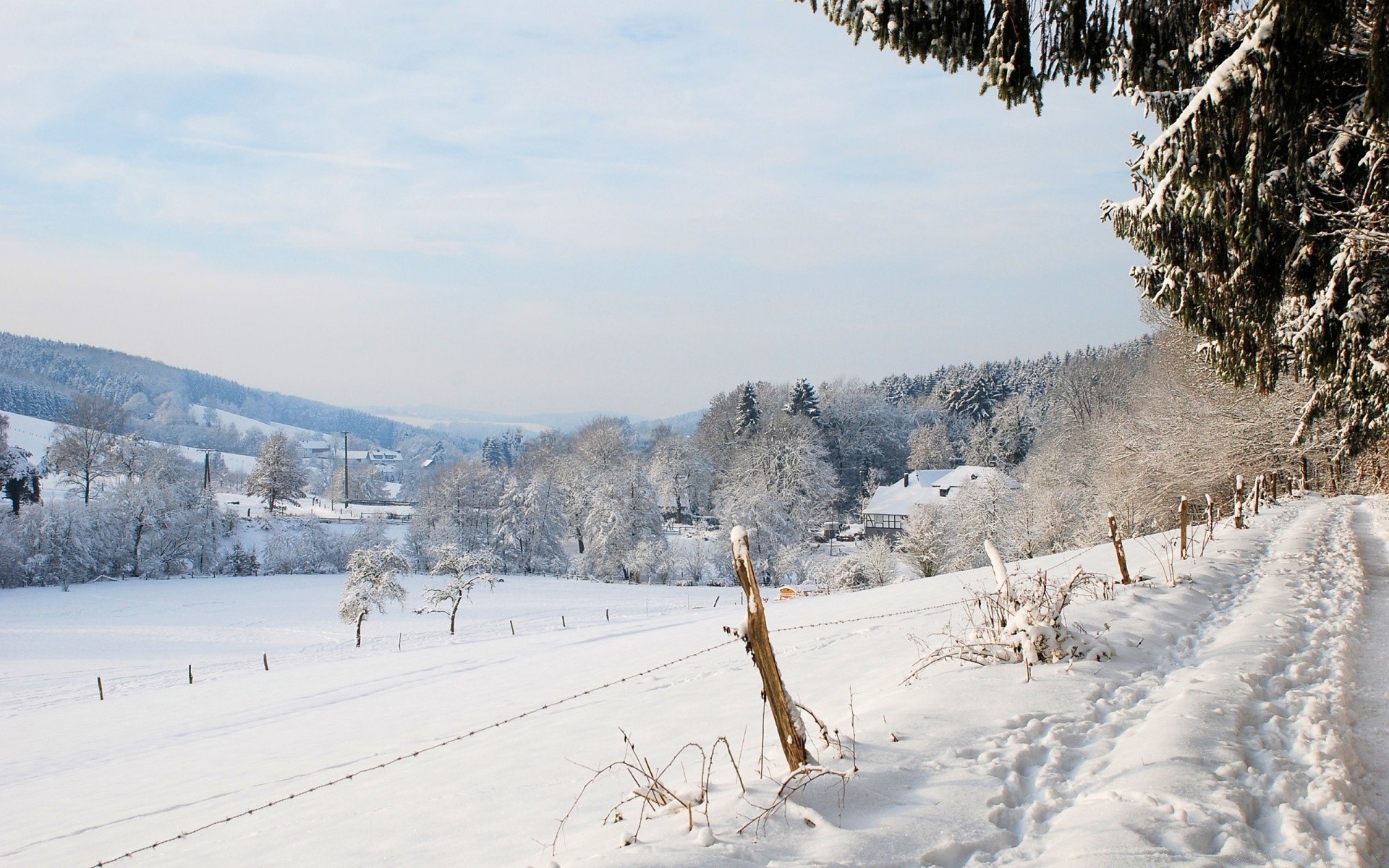 hiver neige froid bois gel congelé météo glace paysage bois saison scénique montagnes station nature