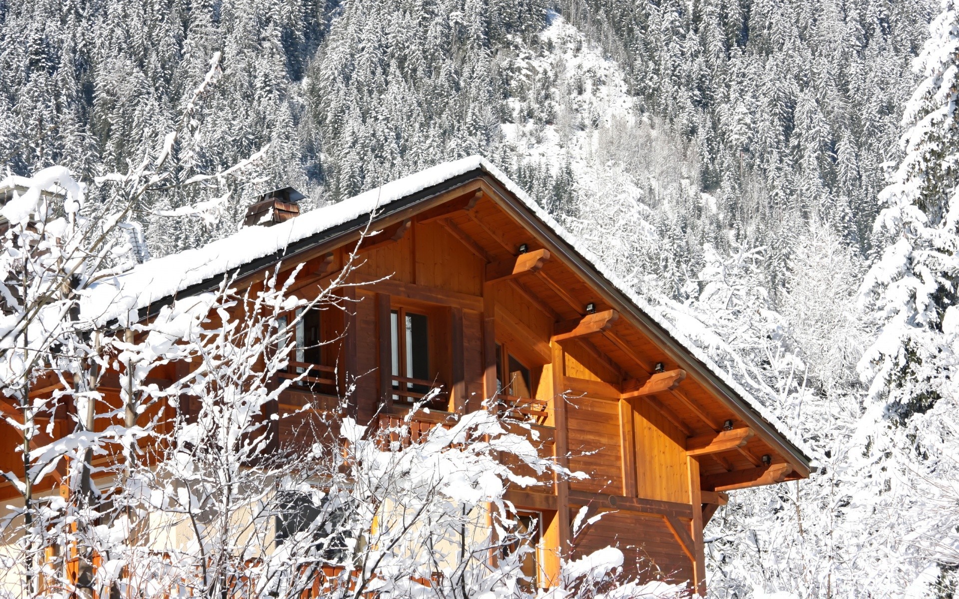 winter schnee kälte holz frost chalet hütte gefroren haus saison kabine bungalow eis natur baum im freien wetter blockhaus blauer himmel