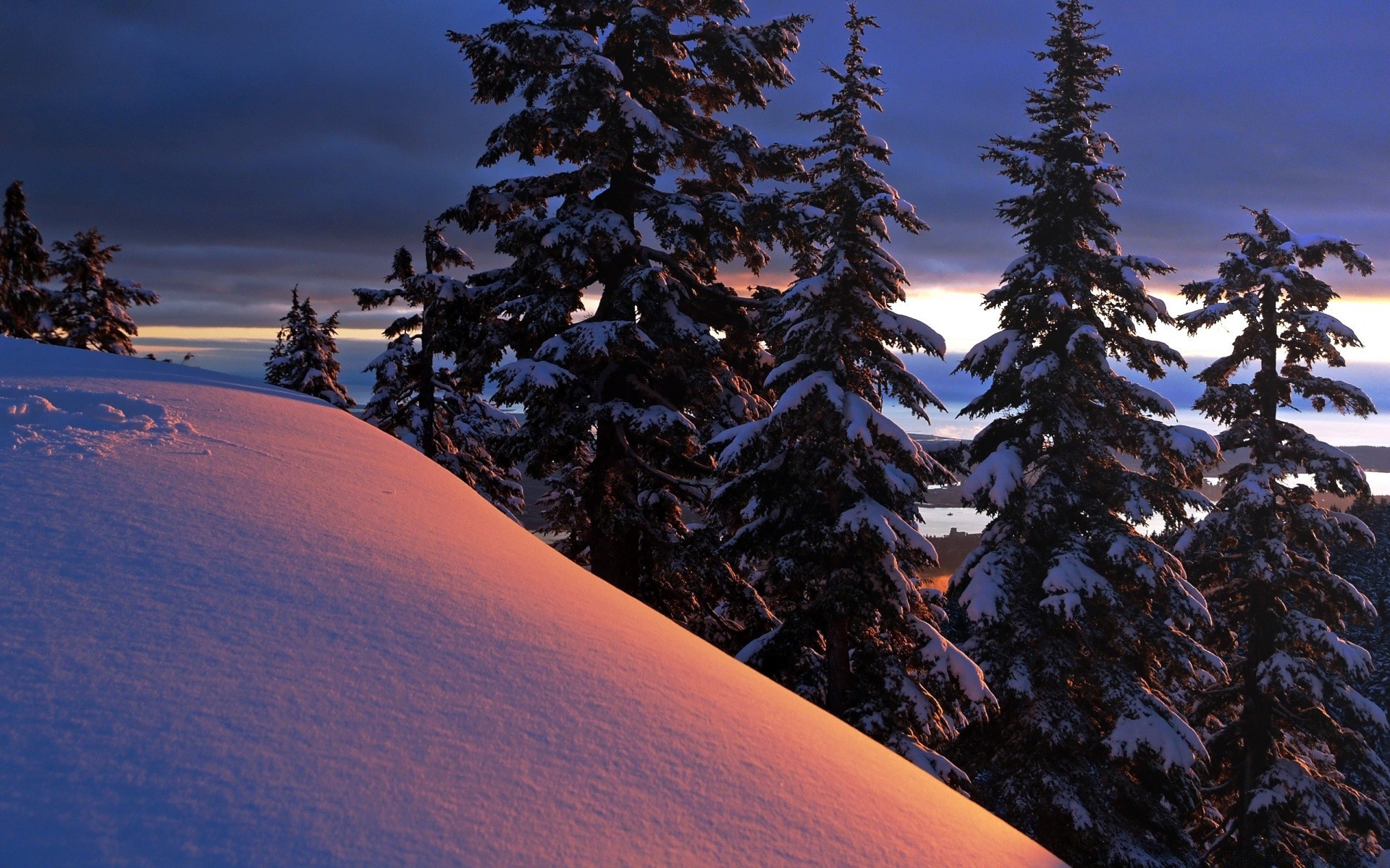 winter snow mountain landscape tree conifer evergreen cold scenic wood daylight outdoors travel ice sky