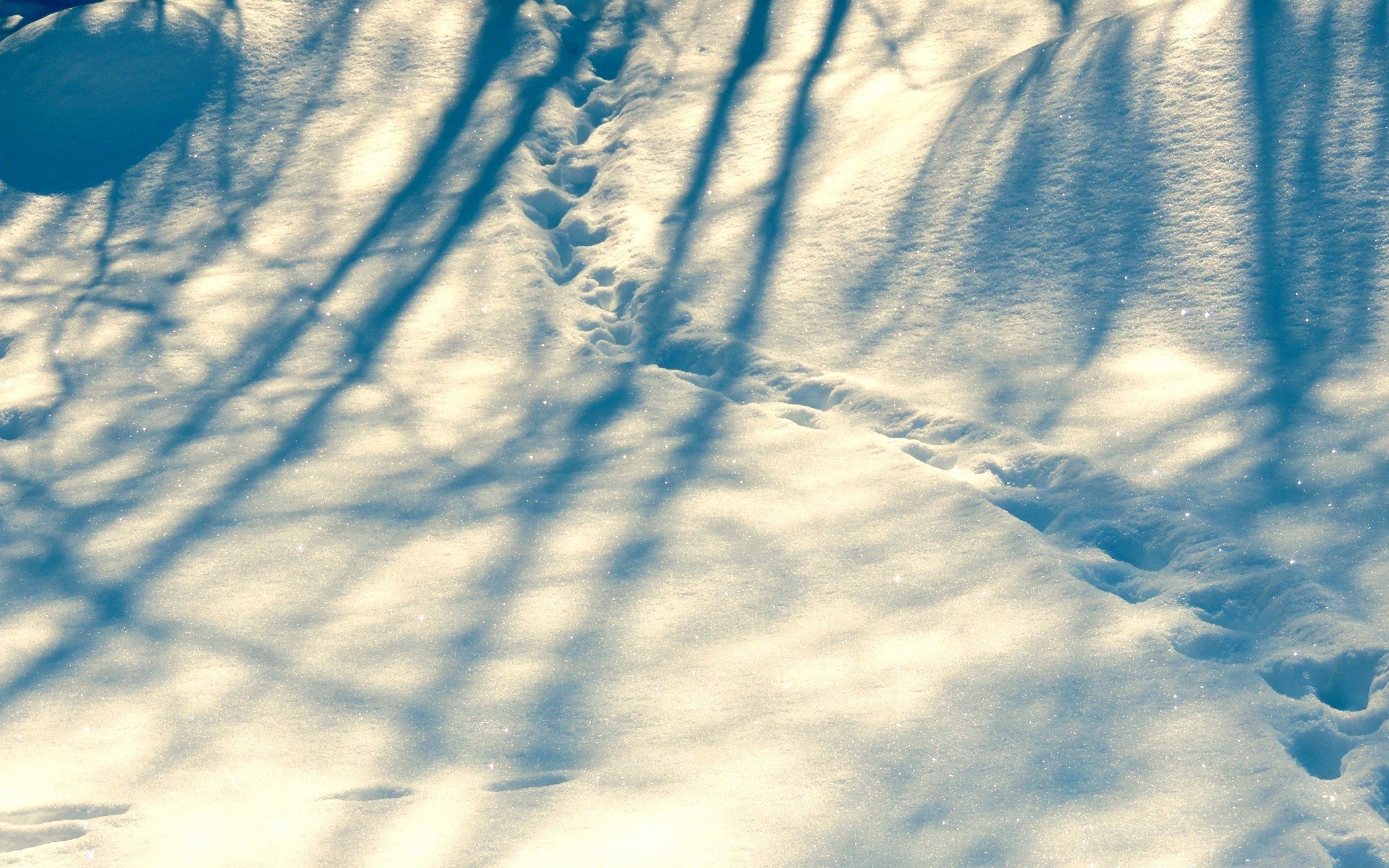 winter abstract desktop weather sky nature daylight outdoors fair weather light landscape color sun