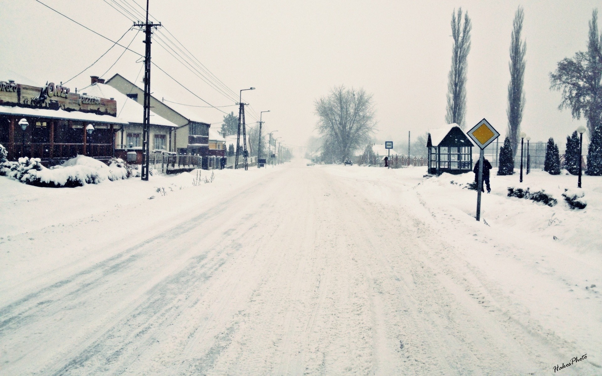 winter snow cold frozen weather frost ice landscape track snowstorm season outdoors wood daylight transportation system environment