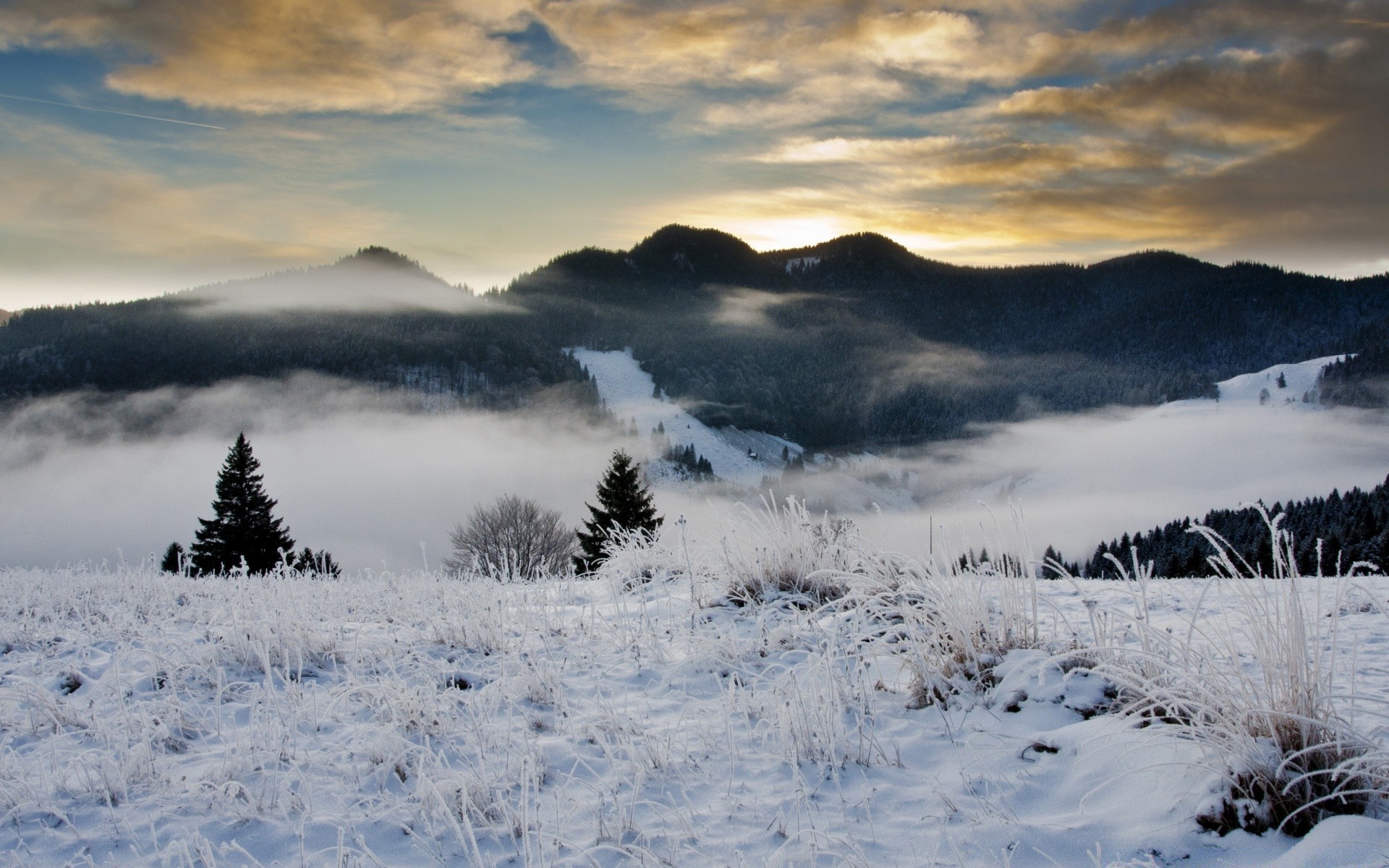 hiver neige montagnes paysage froid scénique glace nature en plein air bois brouillard ciel