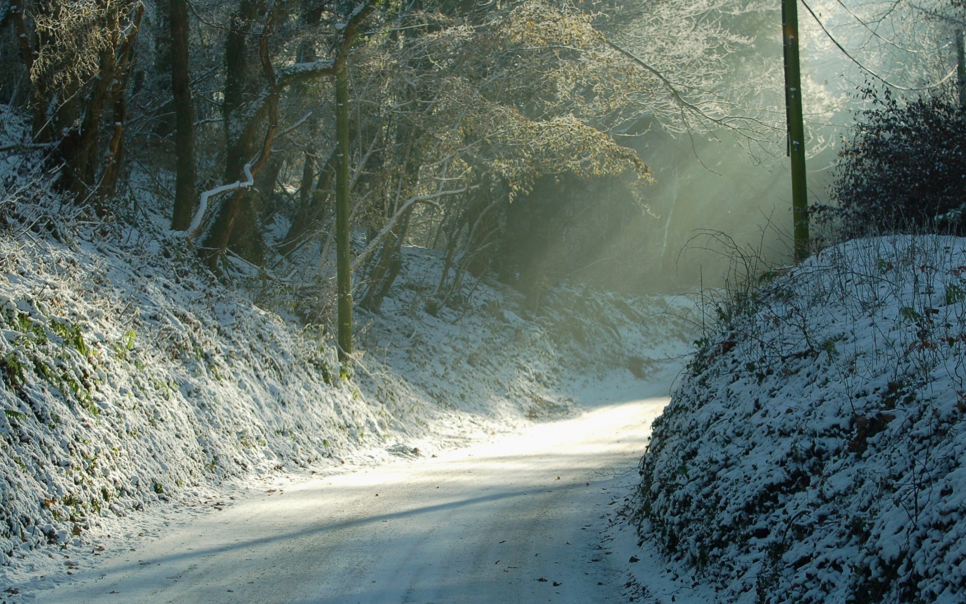 winter landscape nature water tree wood outdoors travel snow environment cold weather