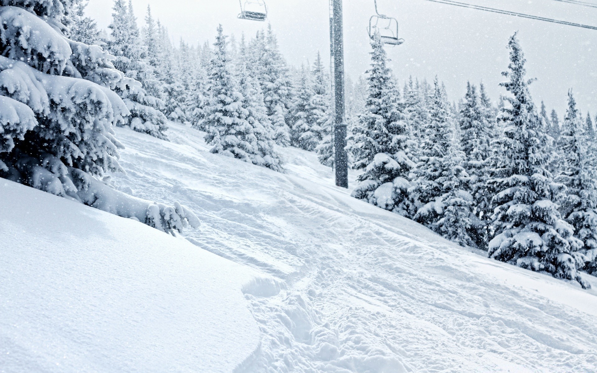 hiver neige montagne froid bois station neigeux colline pittoresque gelé glace piste météo gel piste de ski evergreen pic de montagne pente pistes paysage