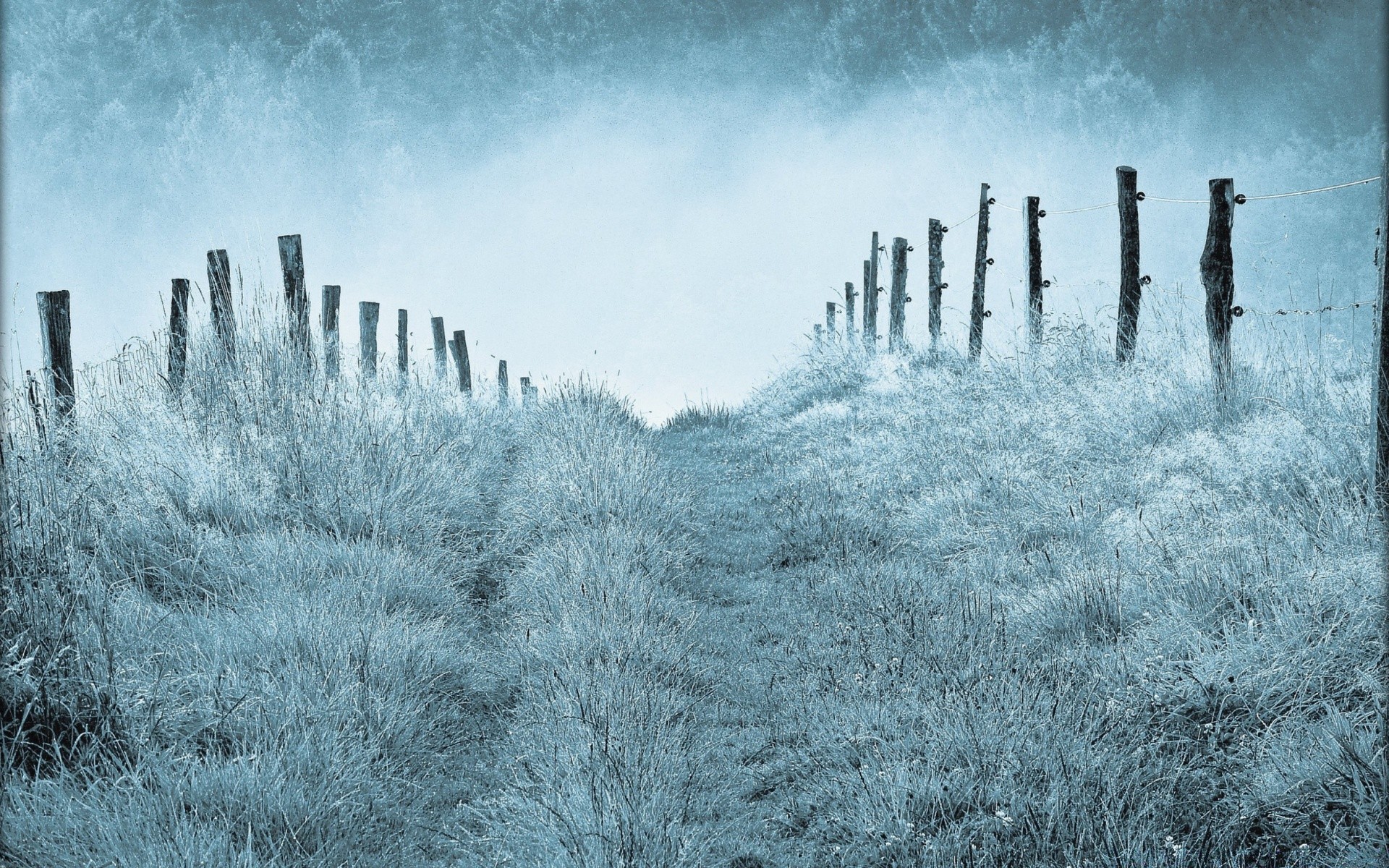 winter snow frost cold landscape weather frozen fog nature outdoors tree season wood sky mist