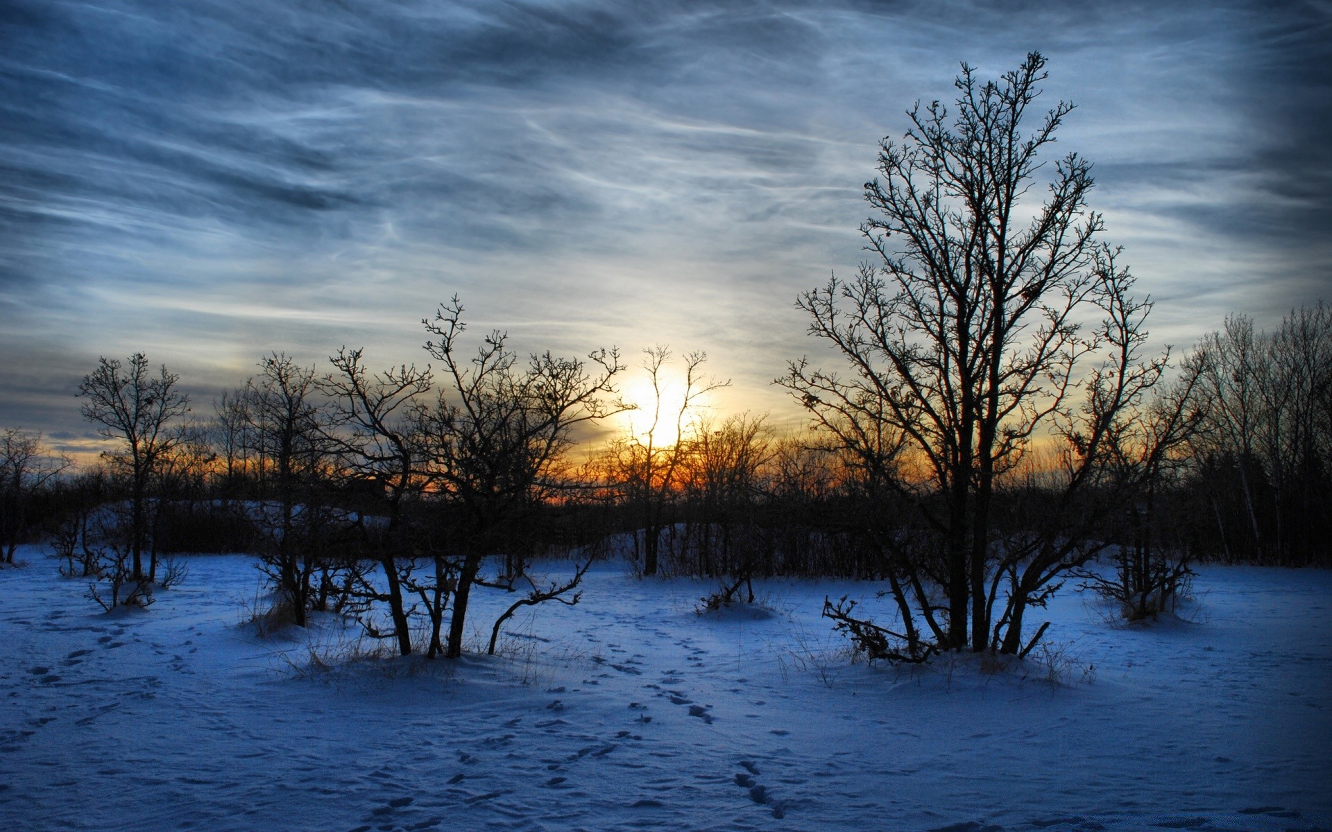 hiver nature arbre paysage aube bois coucher du soleil à l extérieur automne beau temps soir ciel soleil météo brouillard crépuscule campagne rural lumière