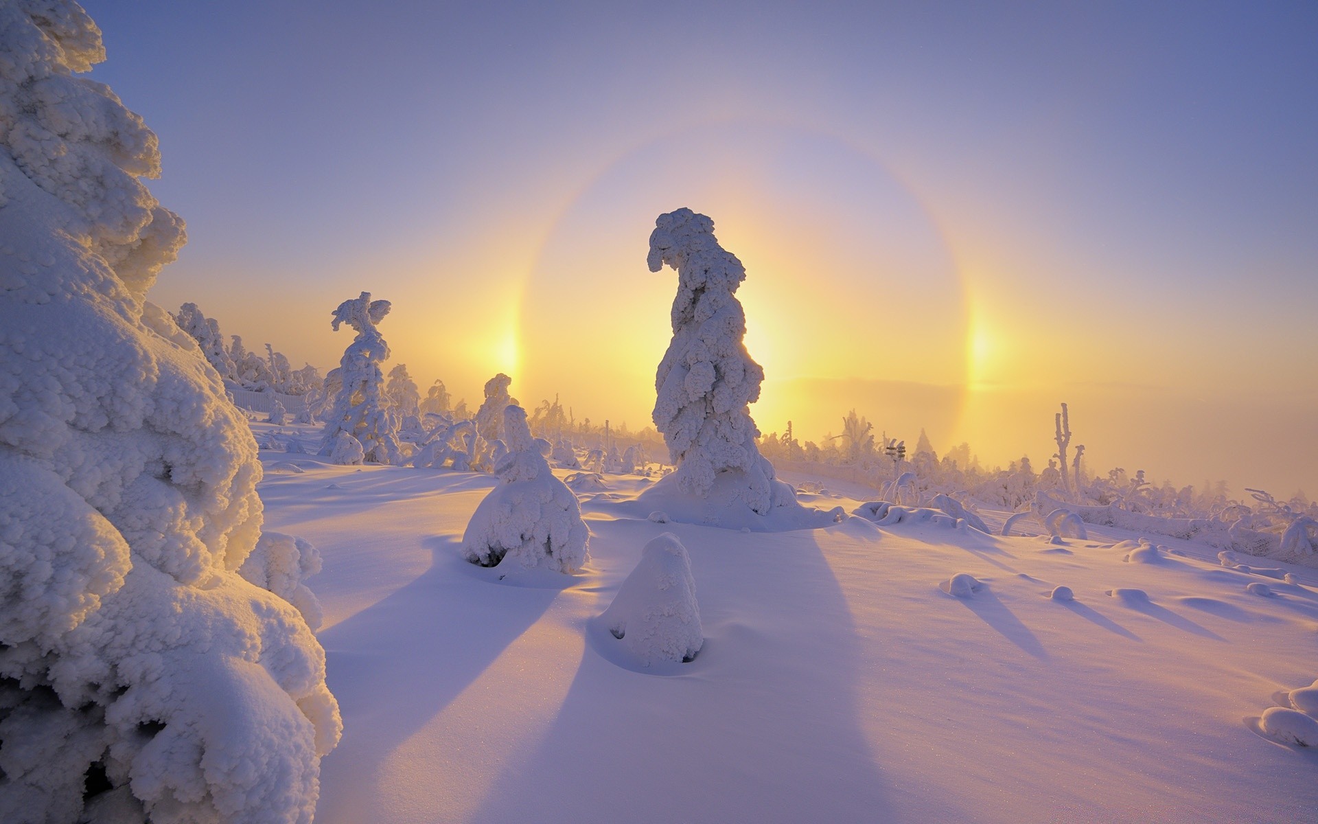 winter snow frost cold landscape weather frozen sunset ice dawn nature sky light fair weather evening sun tree outdoors scenic