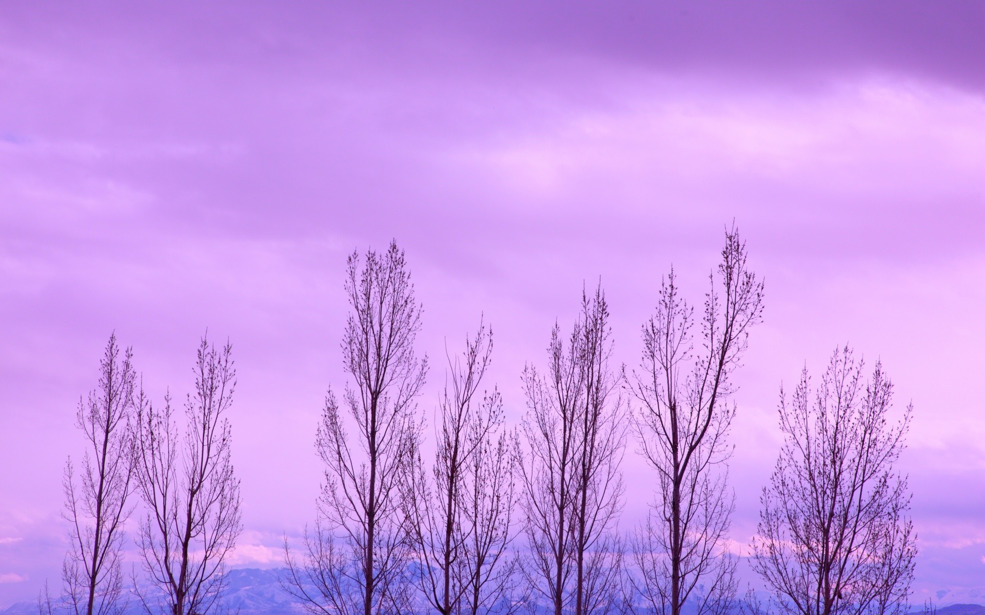 inverno natureza amanhecer paisagem árvore névoa ao ar livre madeira tempo bom tempo névoa frio geada