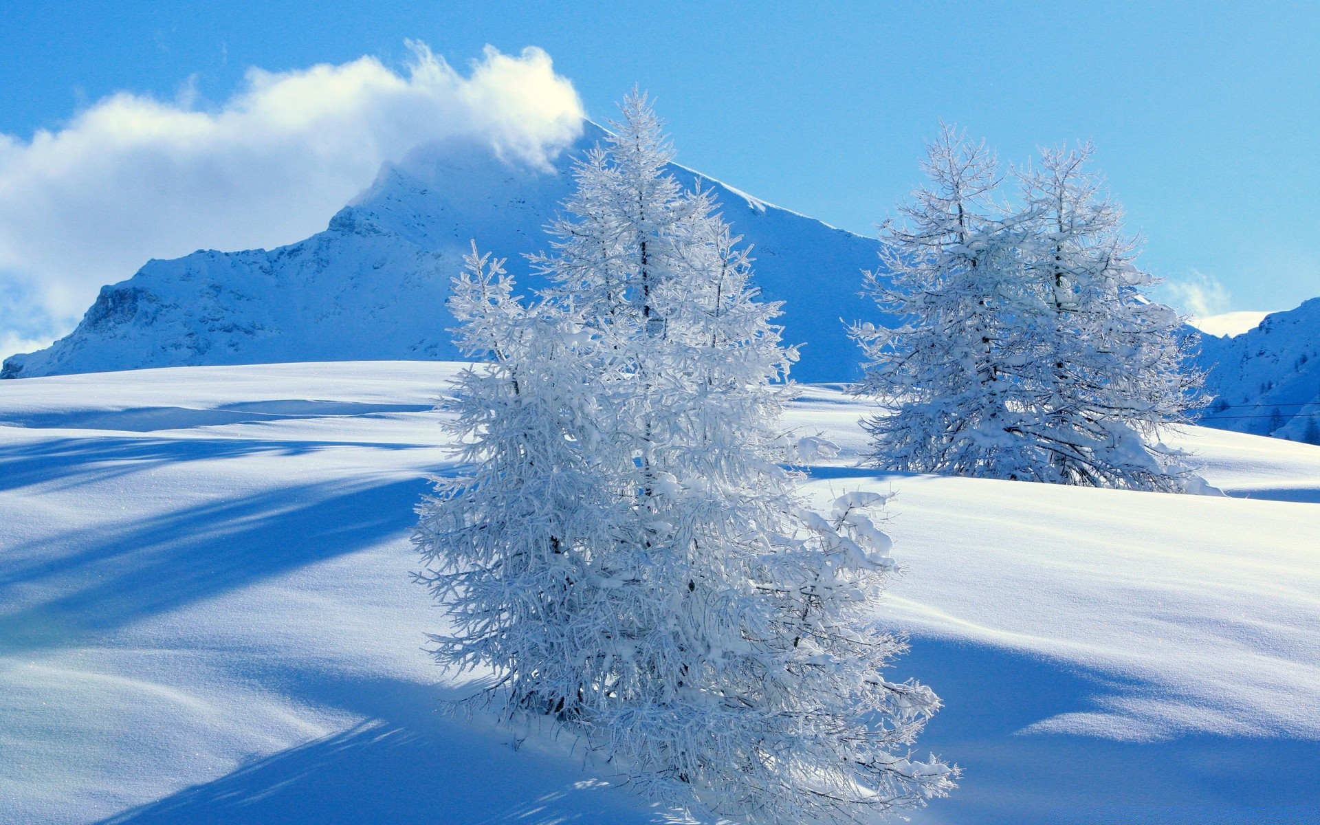 hiver neige froid gel glace montagnes scénique paysage congelé beau temps bois saison météo givré nature neigeux