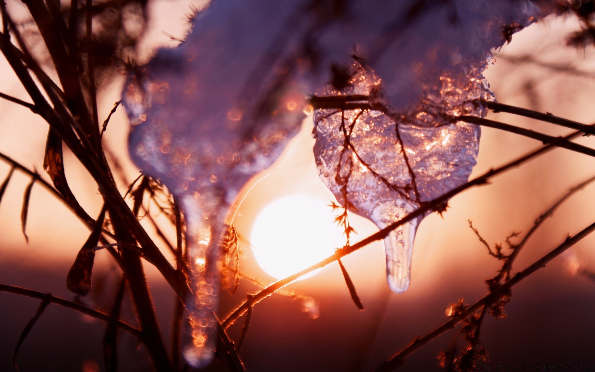 hiver aube lumière soleil nature coucher de soleil branche arbre neige ciel glace noël