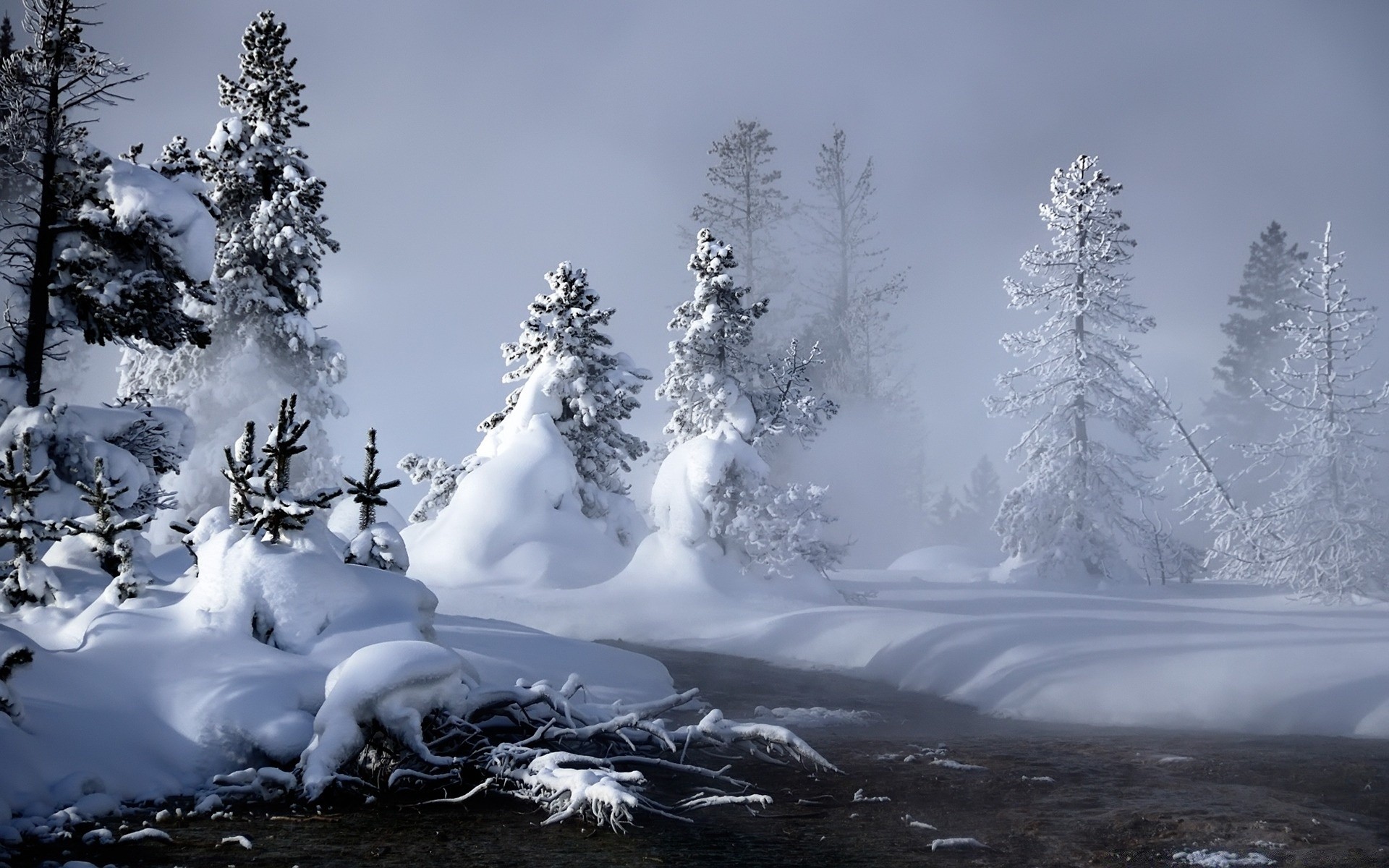 hiver neige froid glace gel congelé paysage bois montagnes scénique nature bois météo givré en plein air saison