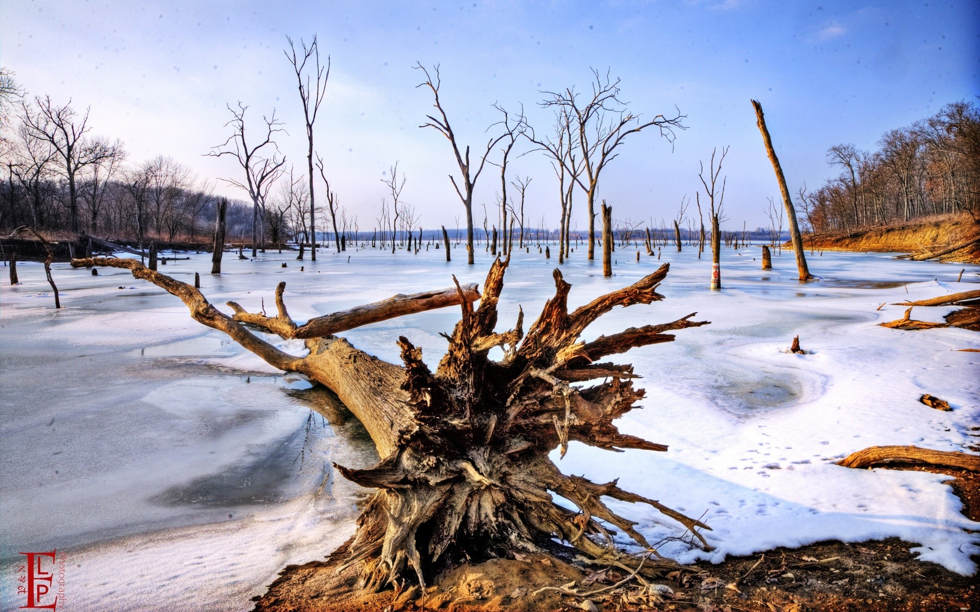 winter nature snow tree landscape water wood outdoors season weather environment cold frost sky frozen ice travel scenic fair weather