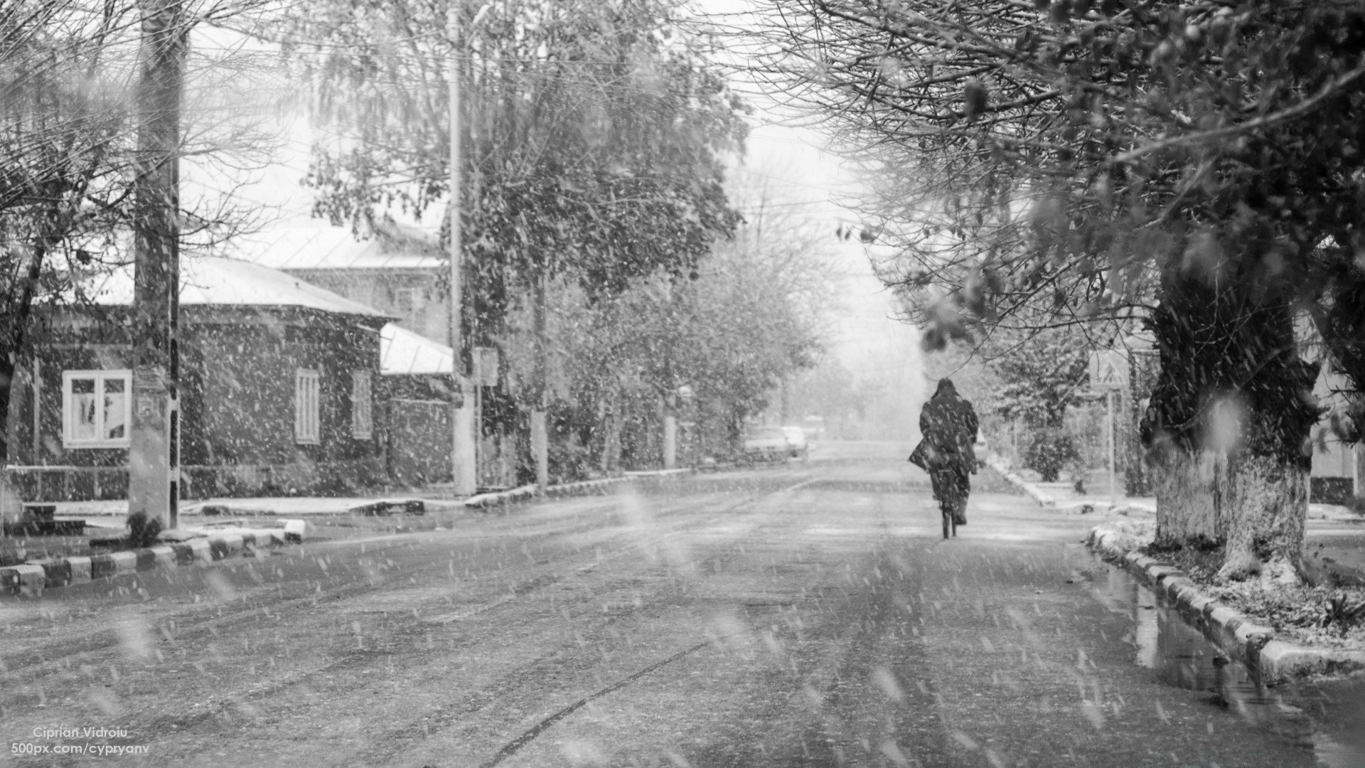 winter erwachsener gruppe straße mann krieg katastrophe auto militär baum straße zuhause