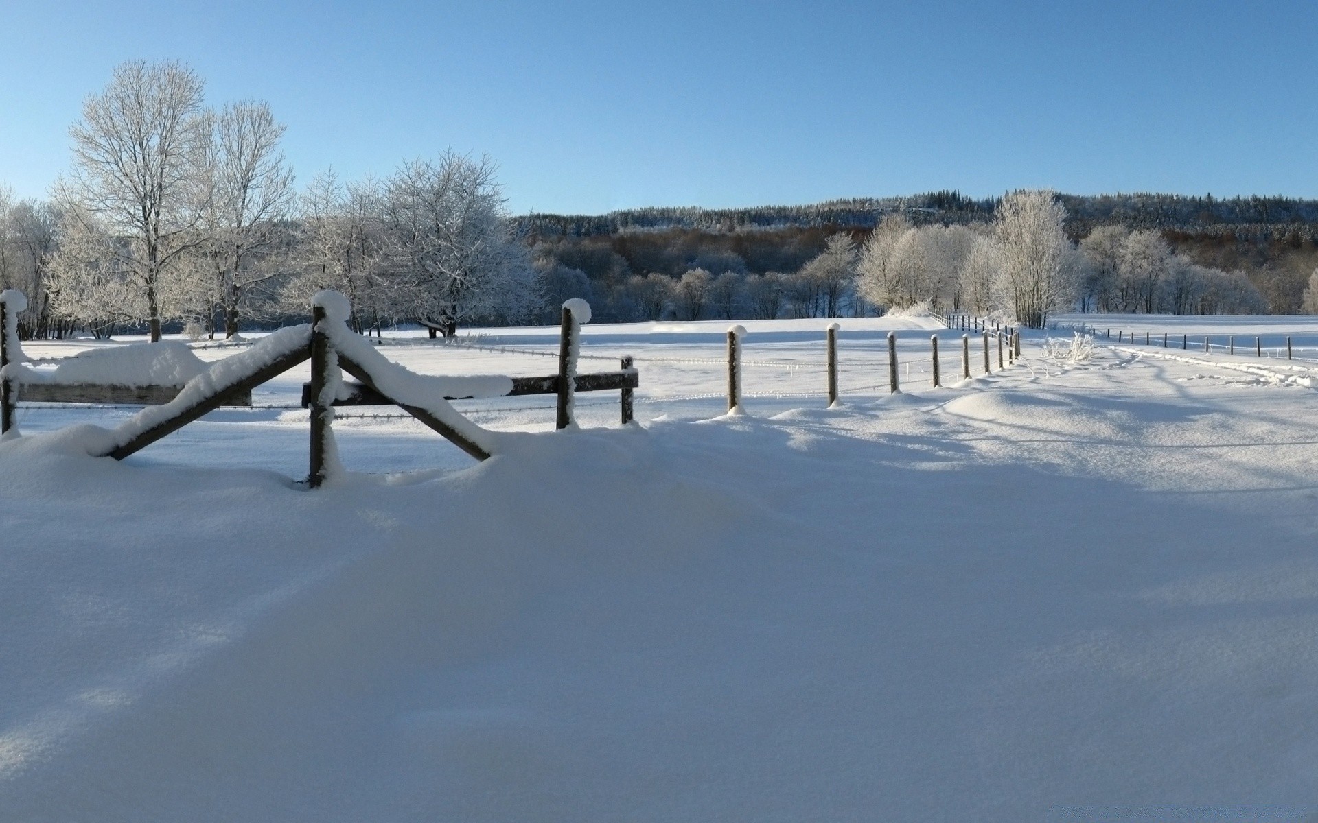 winter snow cold frost ice frozen landscape weather tree outdoors nature wood sky frosty water