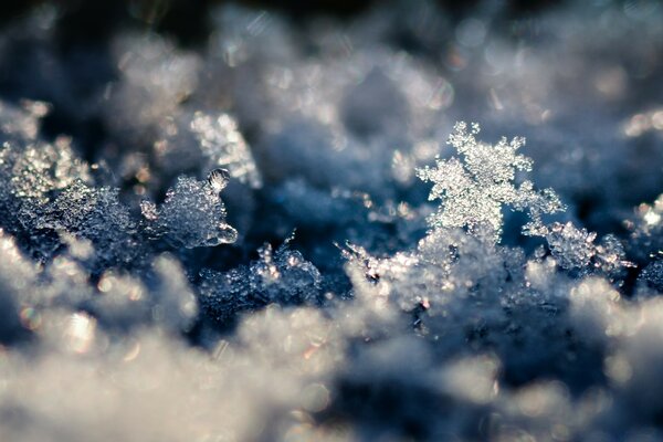 冷若冰霜的性质。 大雪纷飞