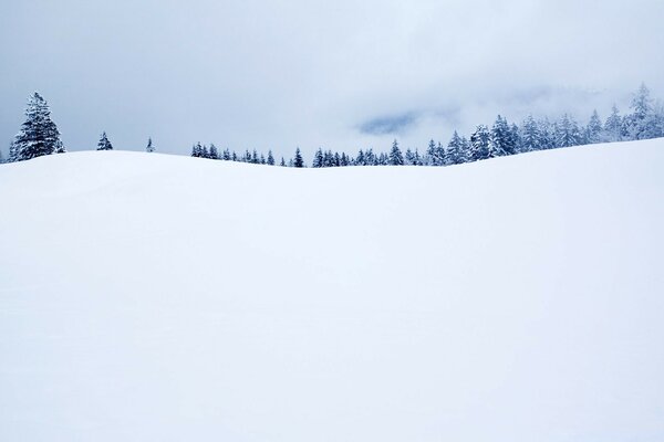 Paisaje de invierno. Nieve blanca esponjosa