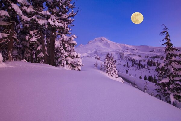 Pleine lune dans une soirée enneigée d hiver