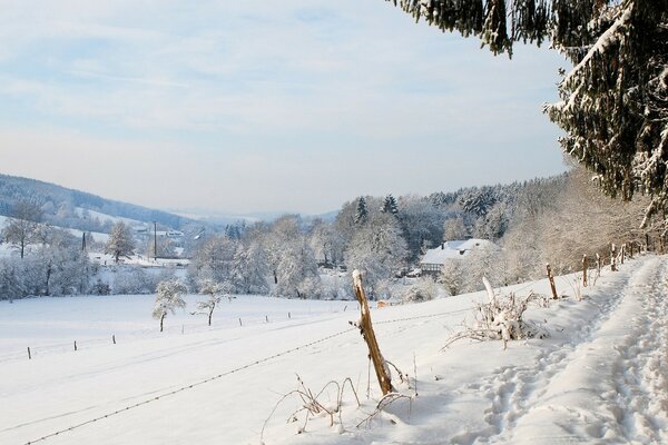 Mountains, forest in winter in the village