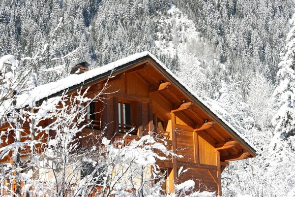 Country wooden house in the winter forest