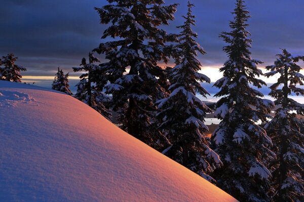 Winterlandschaft der Berge auf dem Hintergrund der Bäume