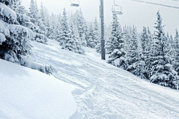 Paysage hivernal. Temps glacial