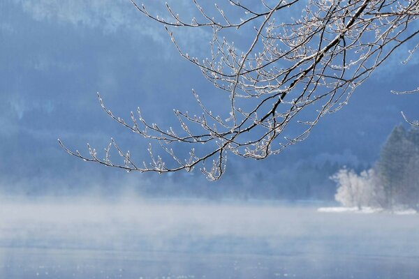 Inverno gelido. Cielo blu