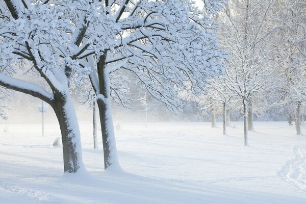 Inverno neve geada frio