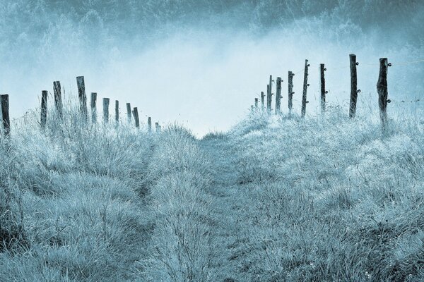 Landschaft des kalten verschneiten und frostigen Winters