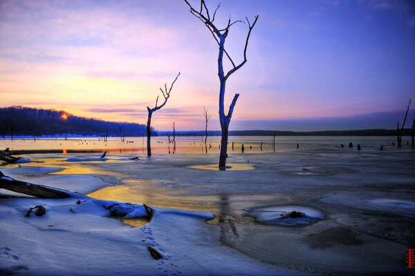 Tramonto o alba in inverno sulla spiaggia e riflesso del sole in acqua