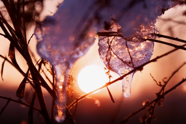 Thaw, melting of icicles in the sun