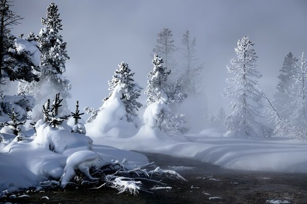 Ropa de invierno y hielo de la naturaleza