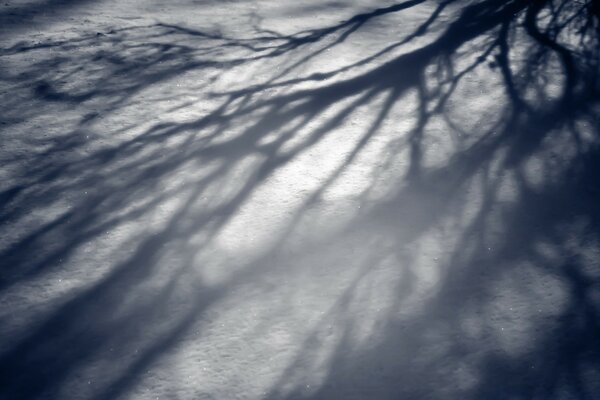 White snow. Shadows in the snow