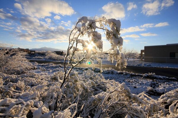 Natural landscape of winter sky and frozen water