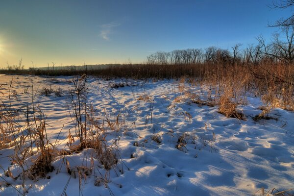 Winter frosty day on the lake shore