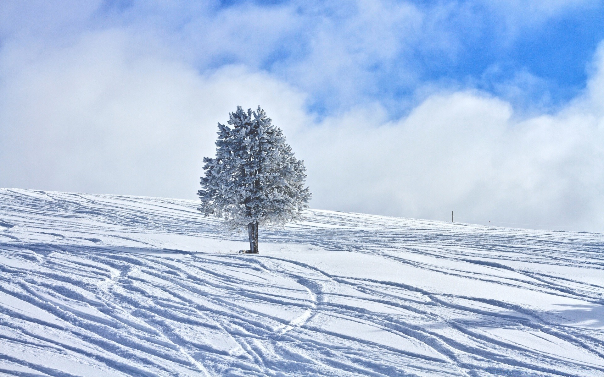 winter snow cold frost frozen landscape ice weather season scenic frosty wood mountain snowstorm snowy track snowdrift nature tree