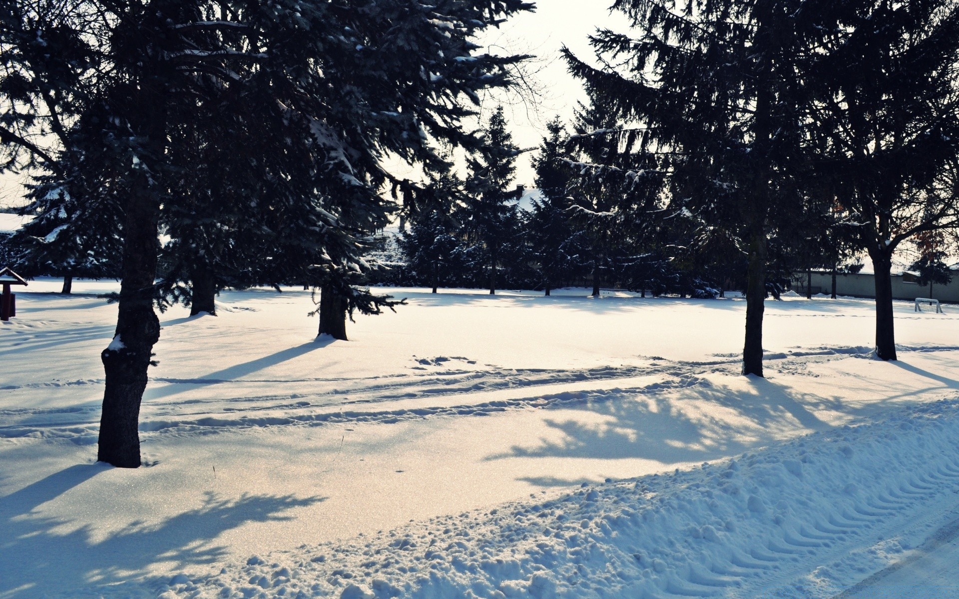 kış kar ağaç manzara soğuk sezon donmuş don hava durumu buz ahşap doğal park şube kar fırtınası sahne karlı