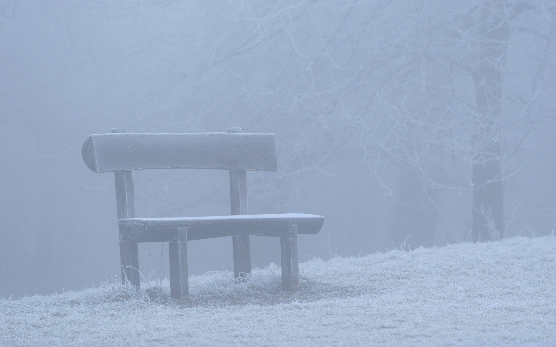 inverno neve frio congelado geada tempo gelo lugar névoa paisagem madeira banco luz ao ar livre gelado nevasca natureza árvore luz do dia