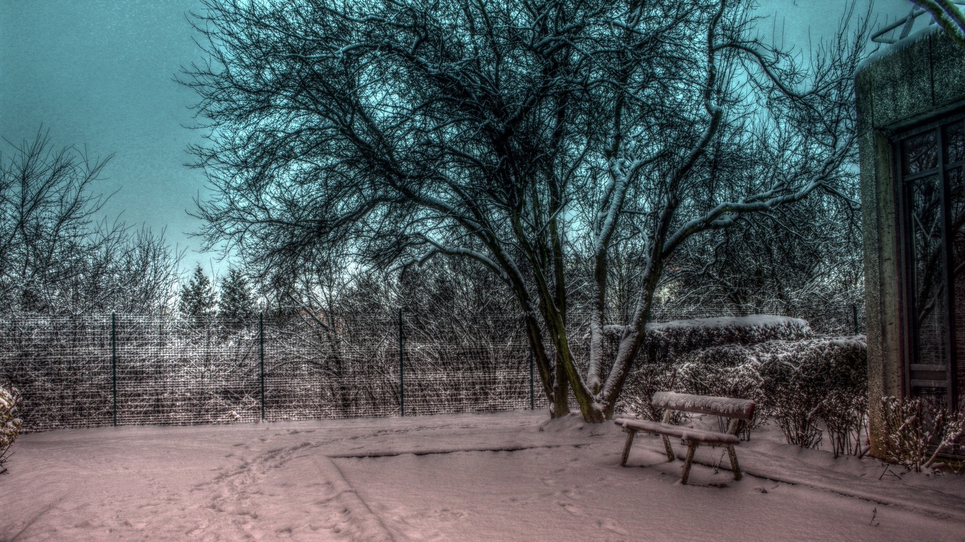 invierno árbol paisaje madera nieve escarcha naturaleza frío tiempo temporada al aire libre niebla hielo congelado parque rama escénico otoño