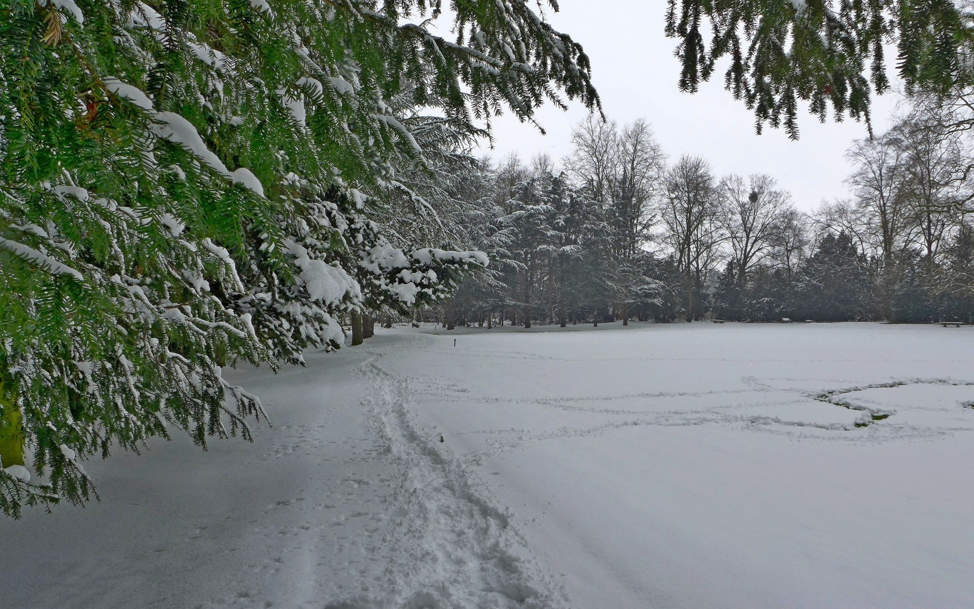 invierno árbol paisaje nieve naturaleza tiempo al aire libre temporada agua madera escénico parque medio ambiente frío luz del día hielo viajes carretera congelado