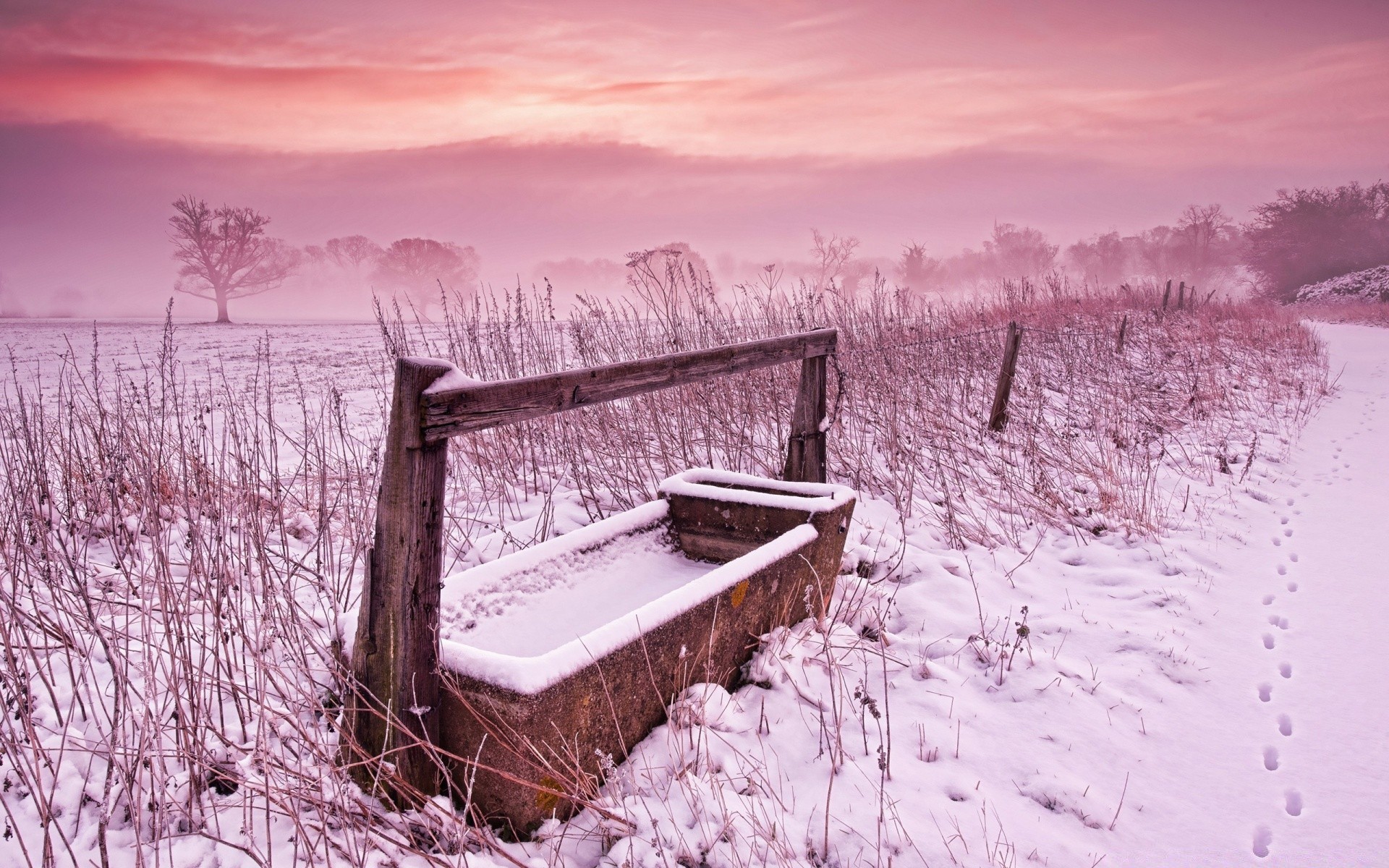 winter schnee kälte frost gefroren dämmerung natur landschaft sonnenuntergang im freien himmel holz wasser saison wetter eis am abend see dämmerung