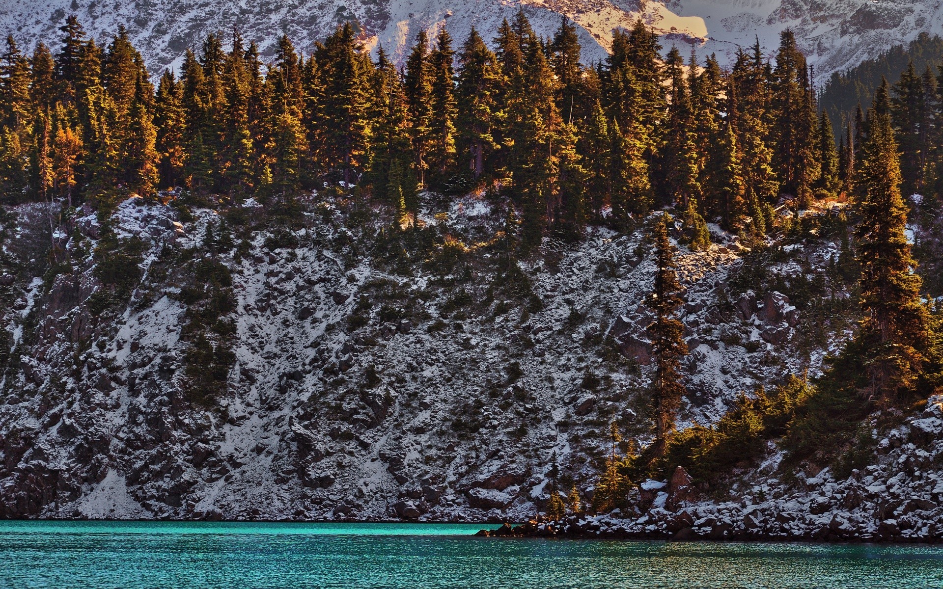 hiver neige bois paysage scénique bois saison froid nature eau lac à l extérieur montagnes réflexion lumière du jour automne scène congelés paysage