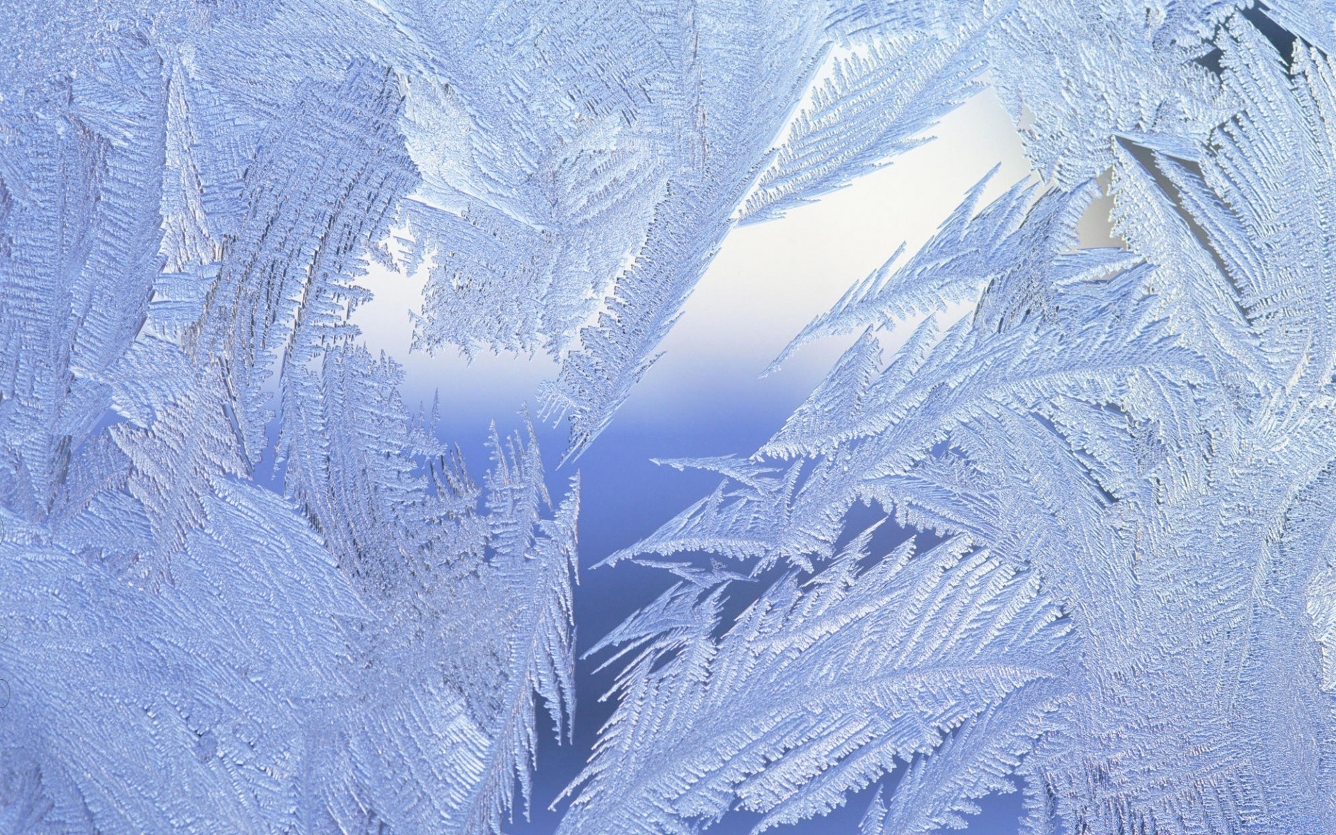 inverno neve geada frio gelo congelado natureza temporada gelo madeira gelado montanha tempo