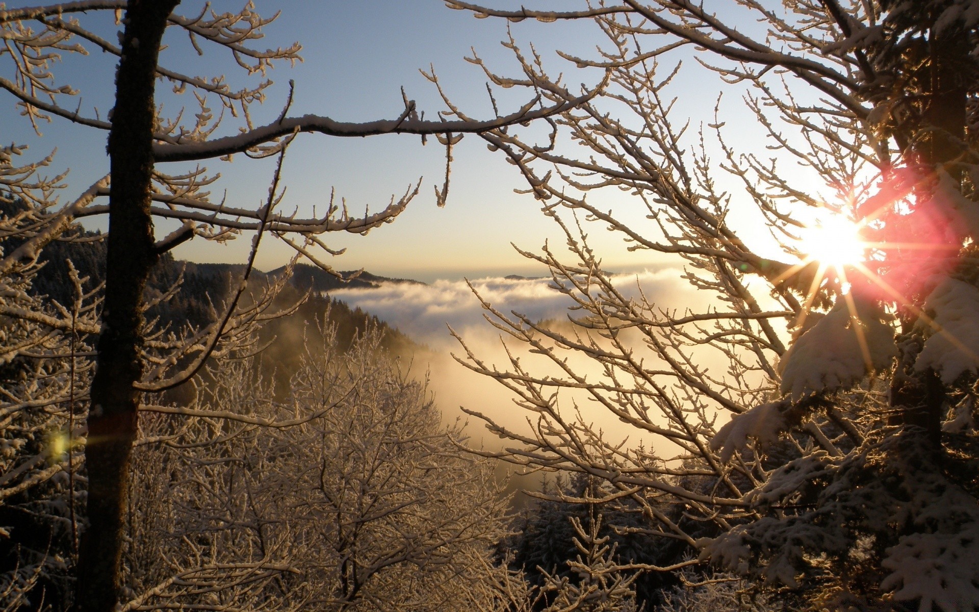 winter tree landscape dawn sunset nature wood sun branch snow fair weather sky outdoors evening light season environment weather fall