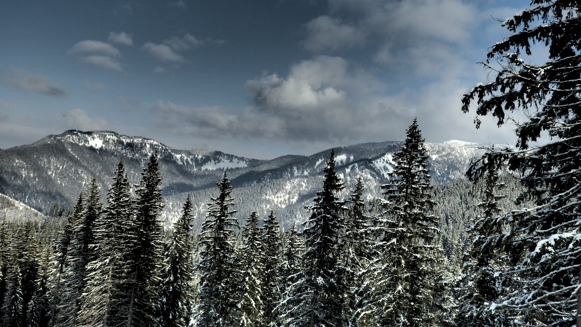 inverno neve montagna legno freddo paesaggio evergreen scenic gelo picco di montagna conifere albero ghiaccio natura stagione congelato abete nevoso collina