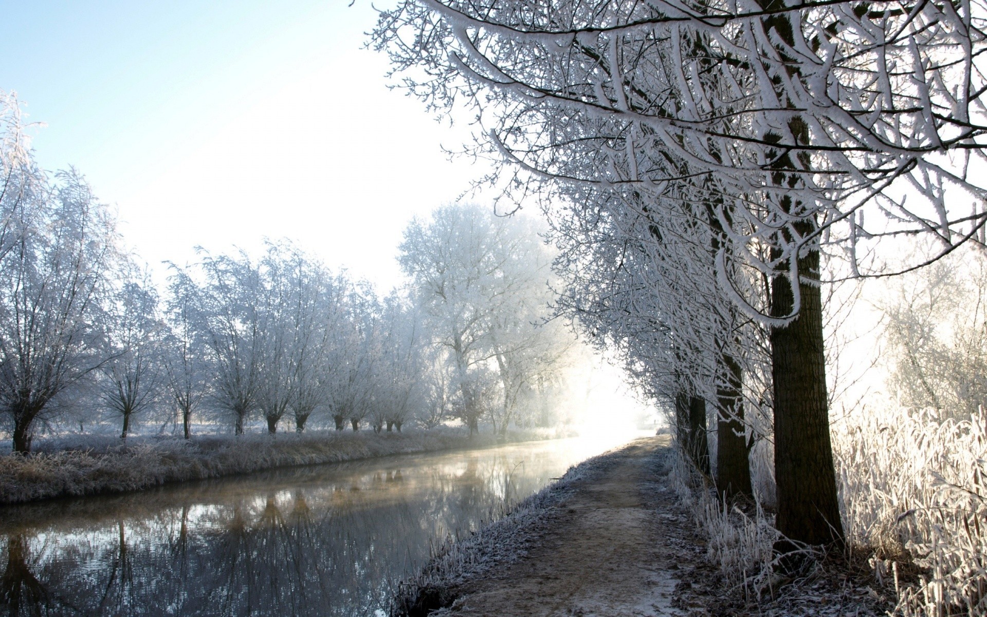 hiver neige froid gel congelé glace paysage bois météo bois saison nature brouillard guide parc branche glacial route scène