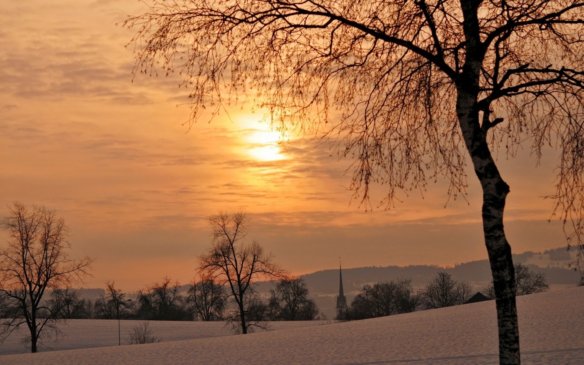 hiver arbre aube paysage neige nature météo bois brouillard coucher de soleil beau temps froid soleil automne gel saison brouillard branche campagne