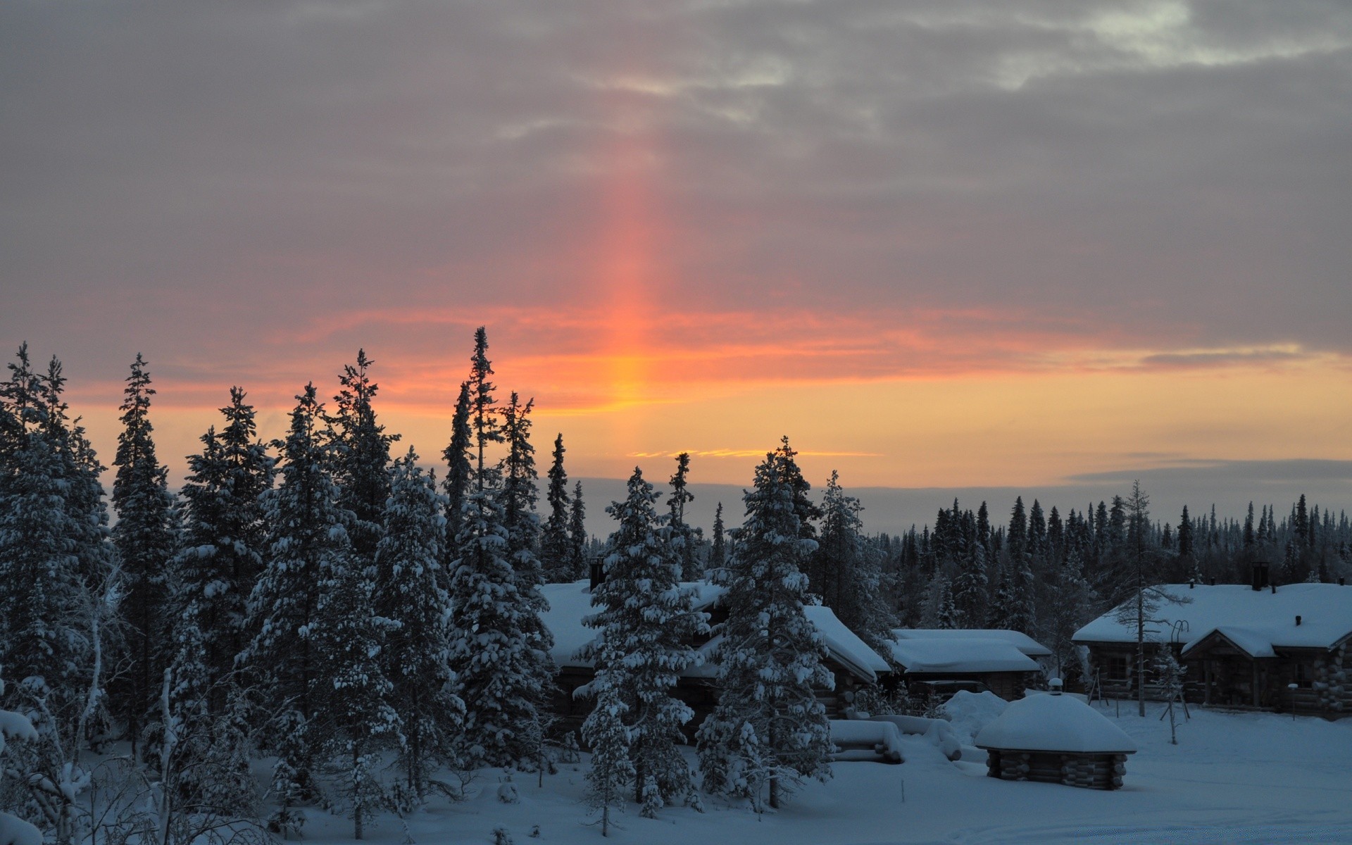 hiver neige froid gel bois paysage météo glace bois congelé aube scénique evergreen montagnes brouillard coucher de soleil nature conifères